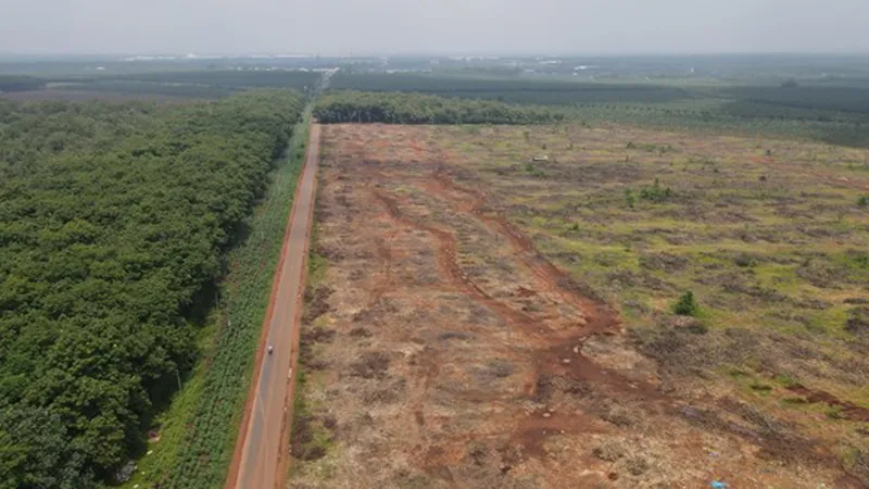 Dự án sân bay Long Thành 379 trường hợp chưa nhận tiền hỗ trợ, bồi thường