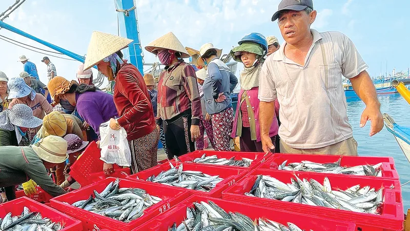 Rộng cửa cho hàng thủy sản 