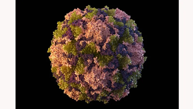 Hình ảnh mô tả virus bại liệt. Nguồn: AP