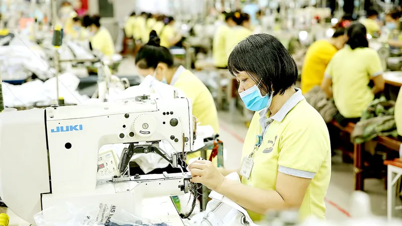 Rà soát tình hình sử dụng lao động ở TPHCM