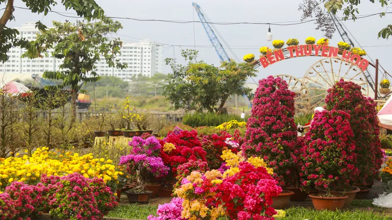 Chợ hoa xuân Bình Điền 2023 tiếp tục miễn phí tiền thuê mặt bằng