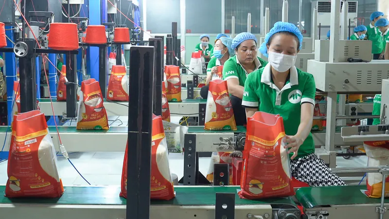  Công ty cổ phần Tập đoàn Tân Long đóng gói gạo với thương hiệu A An. Ảnh: THANH HẢI