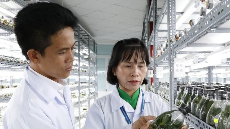 Một công trình tham dự Giải thưởng Sáng tạo TPHCM lần 2