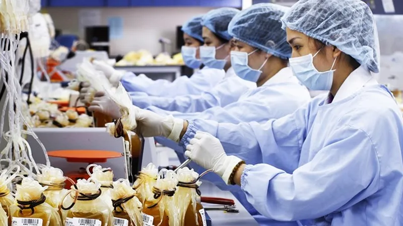 Cam kết cung cấp đủ máu cho điều trị ở ĐBCSL