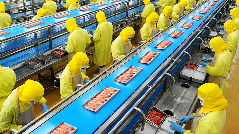 Công nhân Nhà máy tôm đông lạnh CP Việt Nam tại Thừa Thiên Huế đang sơ chế tôm