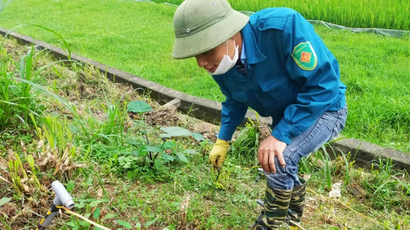 Nạn săn bắt giun bằng kích điện tại huyện Lập Thạch, tỉnh Vĩnh Phúc