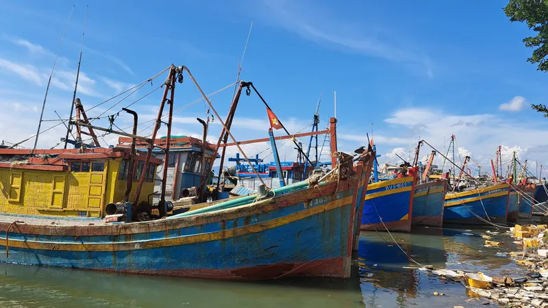Nhiều tàu cá của ngư dân Bà Rịa - Vũng Tàu nằm bờ vì đánh bắt thua lỗ