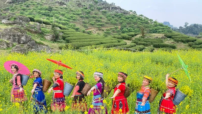 Tour tết giá ổn định, nhiều ưu đãi