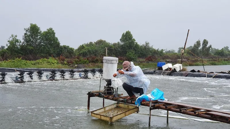 Đã có 474 tỷ đồng được giải ngân cho người dân, doanh nghiệp sản xuất kinh doanh trong lĩnh vực lâm, thuỷ sản tại TPHCM 