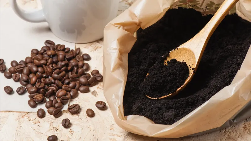 Chống thoái hóa não bằng… bã cà phê