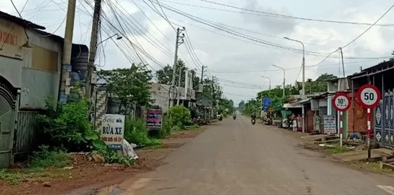 Sẽ hoàn thiện phương án giải thể công ty, bàn giao đất cho địa phương