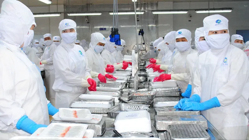 Cà Mau: Năm 2023, thu ngân sách đạt 5.380 tỷ đồng