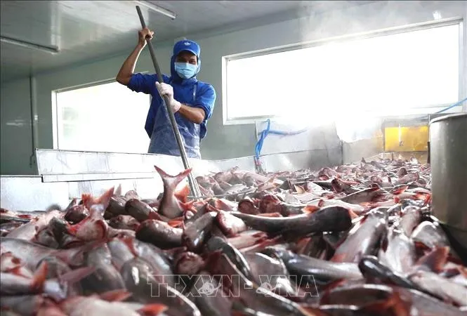 ĐBSCL: Giá thực phẩm có xu hướng giảm