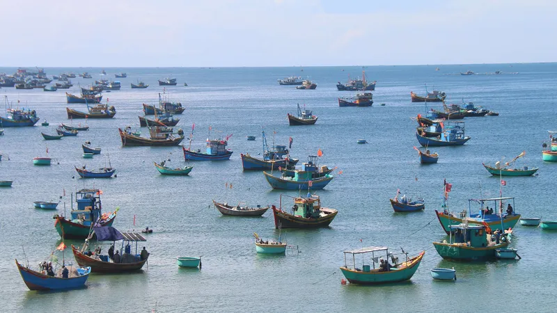 Từ năm 2019 đến nay, tỉnh Bình Thuận hỗ trợ hơn 800 tỷ đồng giúp ngư dân vươn khơi bám biển 