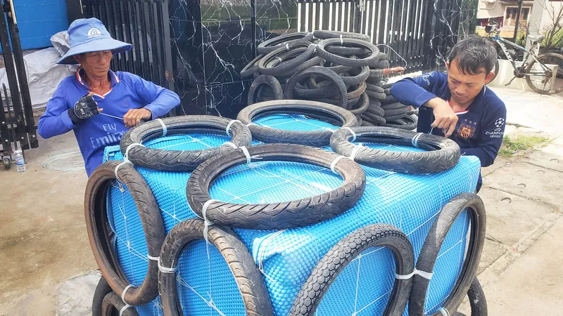 “Xây nhà” nhốt cá ngừ sọc dưa