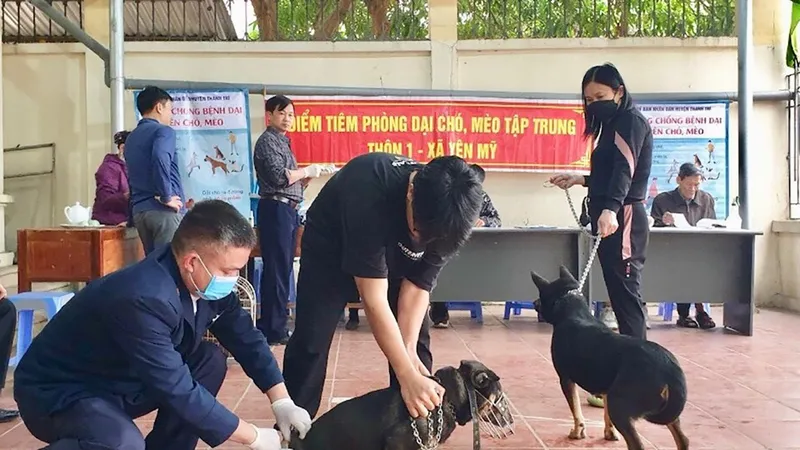 Lực lượng chức năng của TP Hà Nội tăng cường tiêm vaccine ngừa dại cho đàn chó, mèo
