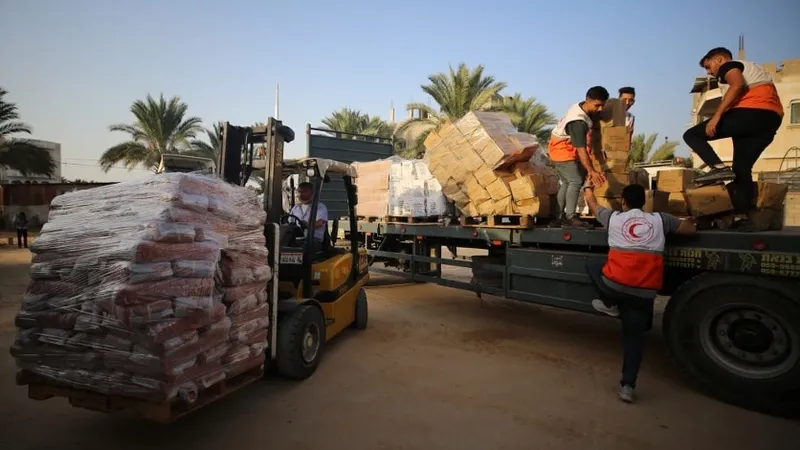 Hàng viện trợ cho người dân Palestine. Ảnh: RNR