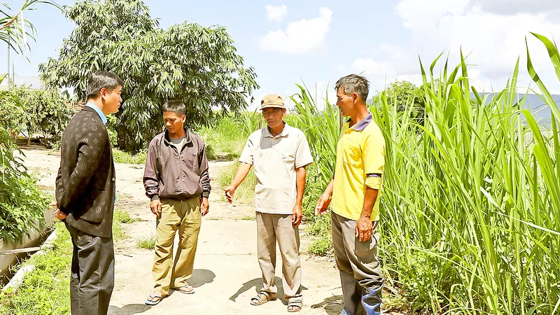Ông Ma Ren (thứ hai từ phải qua), xã Ka Đô, huyện Đơn Dương, tỉnh Lâm Đồng, là người tiên phong đưa mô hình sản xuất mới về địa phương. Ảnh: ĐOÀN KIÊN