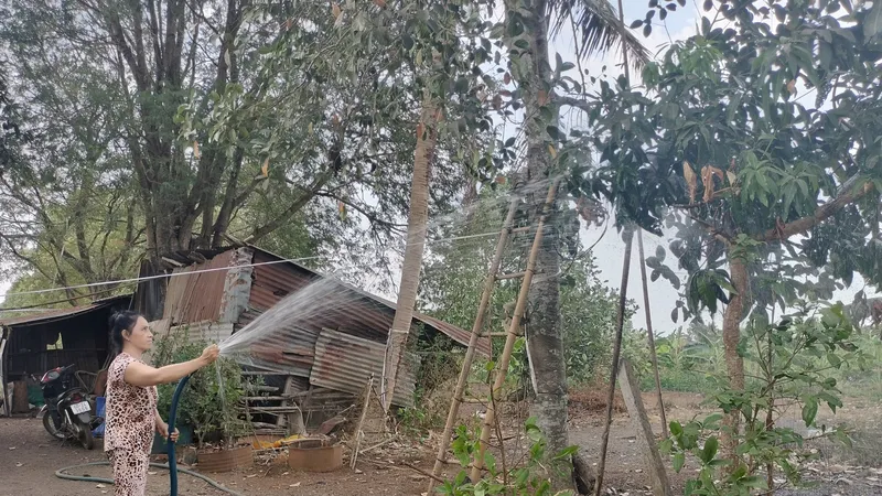 Sống bên dự án hồ Suối Đầm (xã Bàu Hàm, huyện Trảng Bom), người dân vẫn phải dùng nước giếng khoan để tưới cho cây trồng