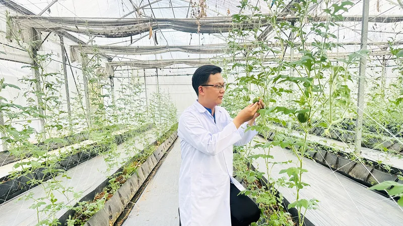 Kỹ sư Phạm Quang Thắng bên khu vườn ươm với những sáng kiến, cải tiến của mình và đồng nghiệp 