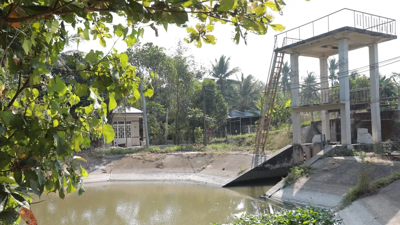 Mùa mưa về dần, xâm nhập mặn giảm