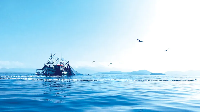 Các cơ quan giám sát hoạt động đánh bắt cá tận dụng dữ liệu vệ tinh và AI để ngăn chặn hoạt động bất hợp pháp trên biển. Ảnh: GFW
