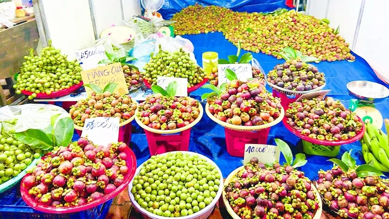 Bình Dương: Nhiều nét mới trong lễ hội “Mùa trái chín” 2024