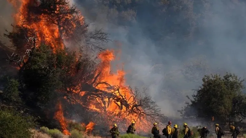 Lính cứu hỏa nỗ lực kiểm soát đám cháy đang lan rộng tại bang California, Mỹ, ngày 15-6. Ảnh: Marcio Jose Sanchez/AP