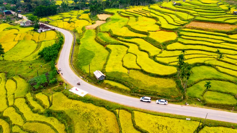 Nhật ký cuộc thi ngày 20-9-2024