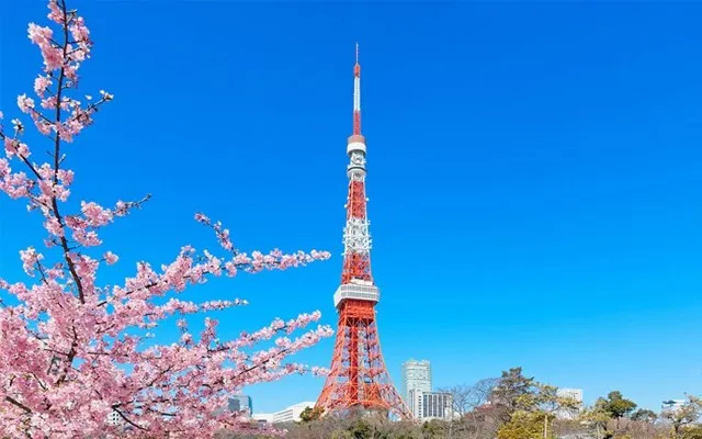 Tháp Tokyo ra mắt tour du lịch cao cấp