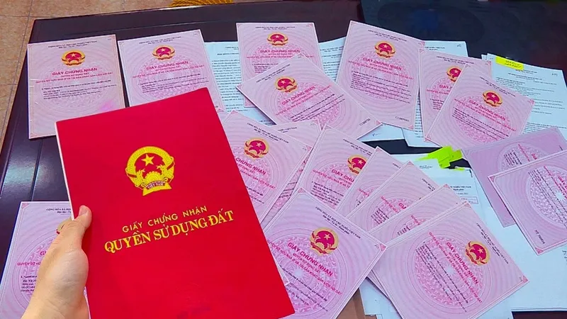 Bình Định: Lập đoàn kiểm tra, rà soát lại toàn bộ vụ việc thu hồi 300 sổ đỏ cấp sai