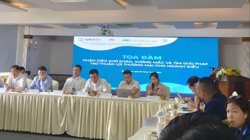 Tìm giải pháp thương mại cho ngành điều Việt Nam