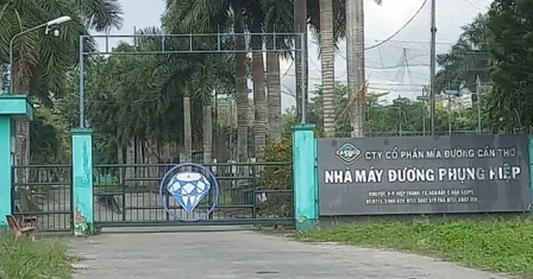 Nhà máy đường ngưng hoạt động: Nông dân lo tìm đầu ra