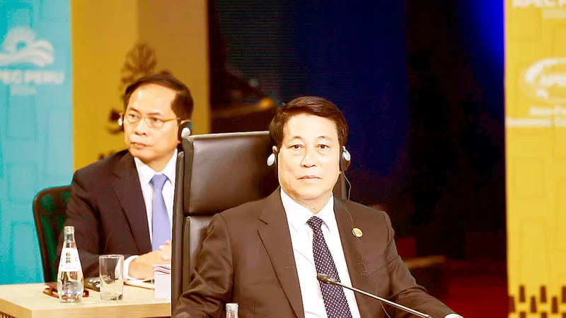 Chủ tịch nước Lương Cường dự Hội nghị Cấp cao APEC lần thứ 31. Ảnh: TTXVN