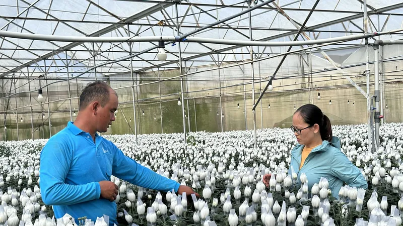 Được sự hỗ trợ của Nhà nước, anh Touneh Thức (xã Lạc Xuân, huyện Đơn Dương, tỉnh Lâm Đồng) đã mạnh dạn đầu tư làm nông nghiệp công nghệ cao. Ảnh: ĐOÀN KIÊN