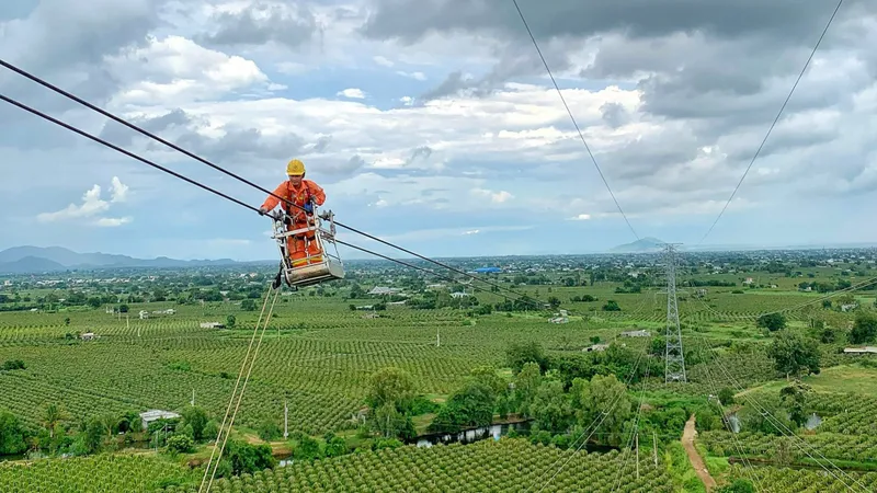 Đảm bảo truyền tải điện an toàn trong mùa khô 2025 khu vực Tây Nguyên – Nam Trung bộ