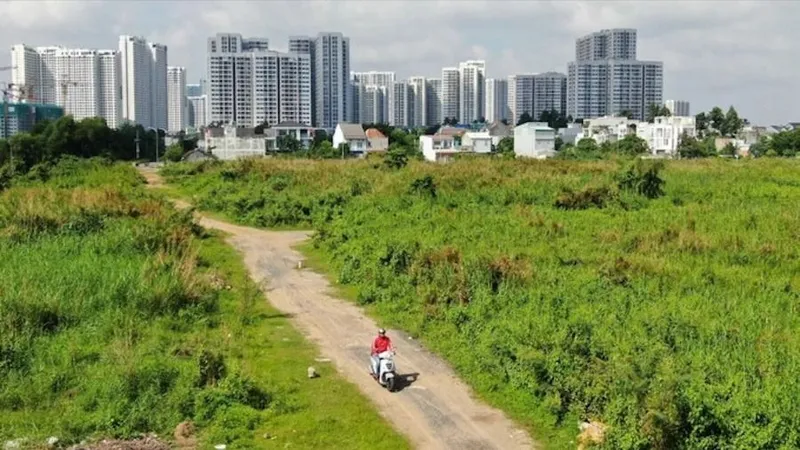 TPHCM có 7 khu nhà đất được đưa ra đấu giá. Ảnh: HOÀNG HÙNG
