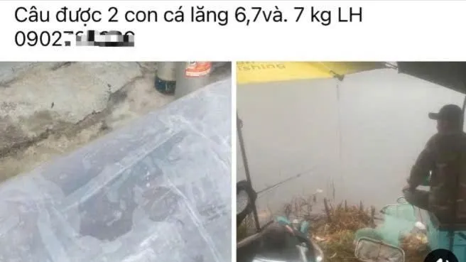 Câu chuyện 2 con cá lăng và lòng tham xấu xí của giám đốc doanh nghiệp ở Đắk Lắk