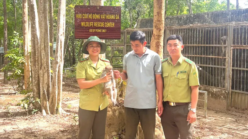 Bàn giao cá thể khỉ đuôi dài để bảo tồn