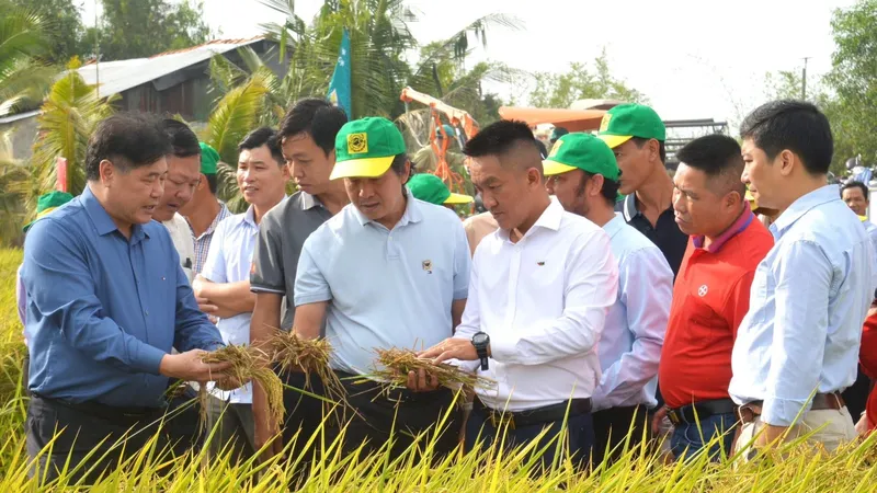 Giám đốc Trung tâm Khuyến nông Quốc gia Lê Quốc Thanh (thứ 2 từ trái qua) và Phó Tổng Giám đốc Công ty CP Phân bón Bình Điền Phan Văn Tâm (thứ 3 từ phải qua) cùng các đại biểu tham quan, đánh giá ruộng canh tác lúa giảm phát thải thuộc dự án Khuyến nông Trung ương triển khai tại Hợp tác xã Nông nghiệp Vinacam Hòn Đất. Ảnh: Tam Phan