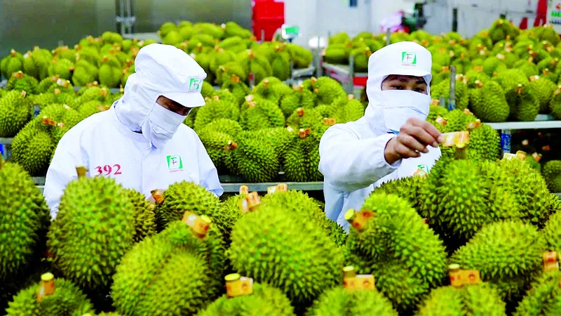Chuyến thăm của Tổng Bí thư, Chủ tịch nước Trung Quốc Tập Cận Bình đến Việt Nam có ý nghĩa chiến lược