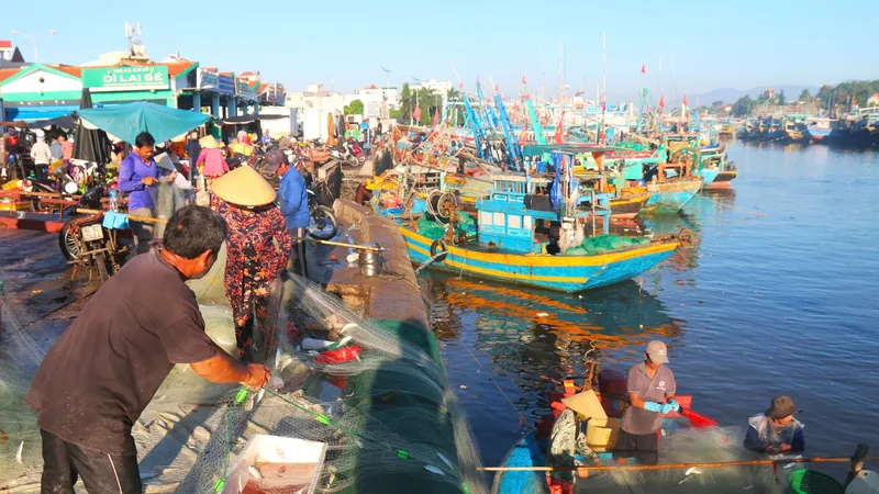 Ngư dân ở Lâm Đồng hiện đại hóa nghề cá: Giảm chi phí, tăng hiệu quả