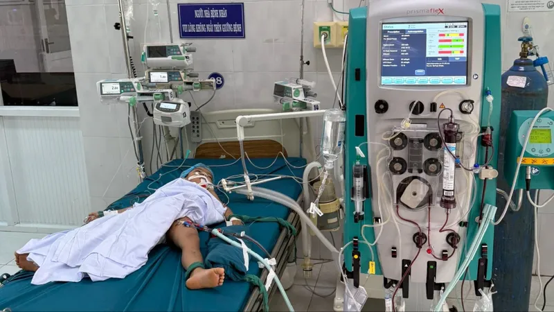 Liên tiếp bị ong vò vẽ tấn công, hai người tử vong