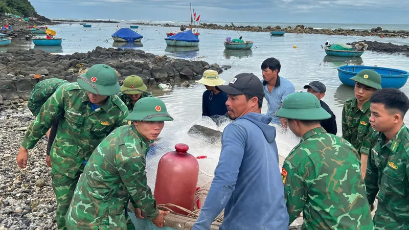 Biên phòng Quảng Ngãi giúp dân kéo thúng, thâu lưới phòng chống bão số 13