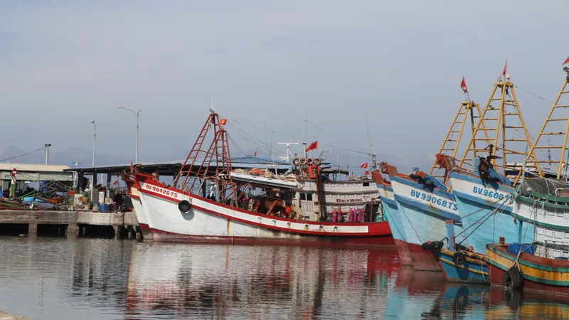 Mô hình FIP đặc biệt phù hợp với nghề khai thác lưới kéo – lĩnh vực đang chịu nhiều áp lực trong tiến trình chống IUU