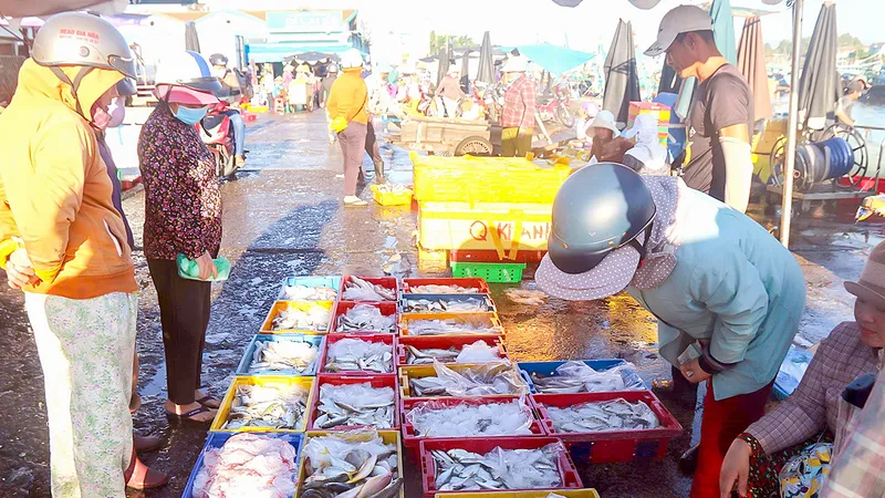 Giá các loại hải sản tại cảng cá Phan Thiết (tỉnh Lâm Đồng) ở mức ổn định. Ảnh: TIẾN THẮNG
