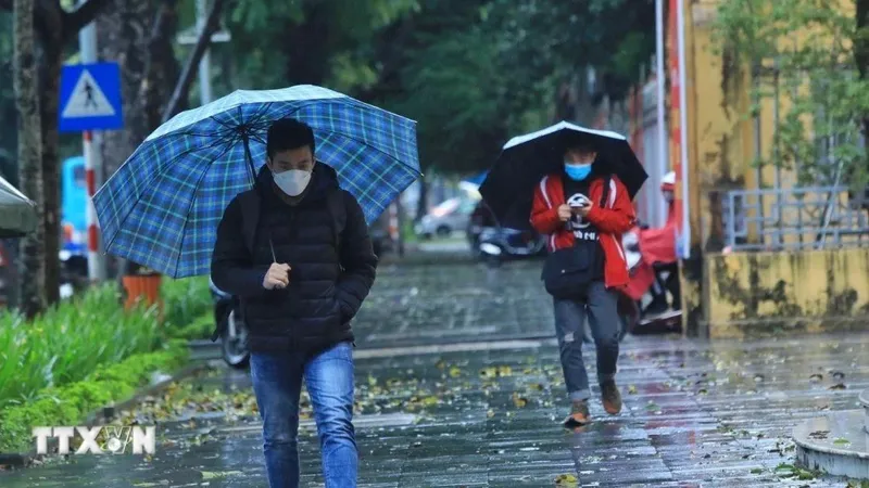 Tại Hà Nội ngày 31-1 có mưa, mưa nhỏ rải rác; đêm có mưa vài nơi, trời chuyển rét, nhiệt độ thấp nhất 13-15 độ C. Ảnh: TTXVN 