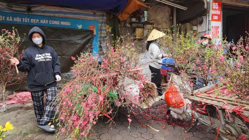 Các chợ ở Hà Nội 28 Tết ngập tràn sắc hoa