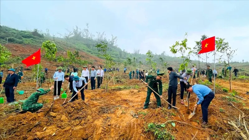 Trồng cây xanh tại xã Thiên Cầm, tỉnh Hà Tĩnh 