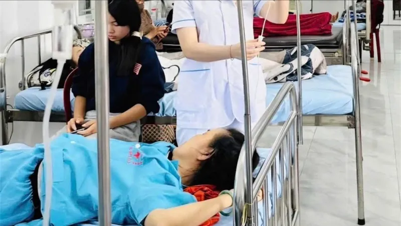 Vụ ngộ độc bánh mì ở Đắk Lắk: Rau và chà bông bị nhiễm vi khuẩn Salmonella